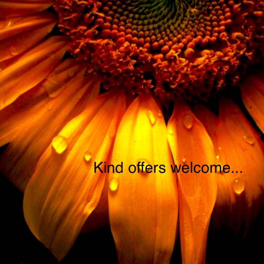 Kind offers welcome...Thank you for browsing! xo